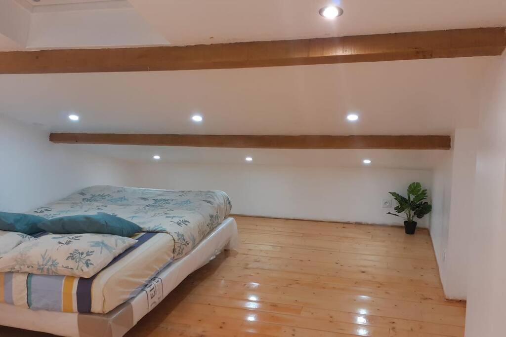 Appartement La Joie Dans Quartier Chic Pibrac 外观 照片