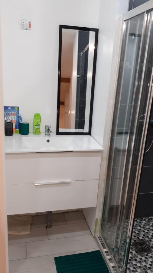 Appartement La Joie Dans Quartier Chic Pibrac 外观 照片