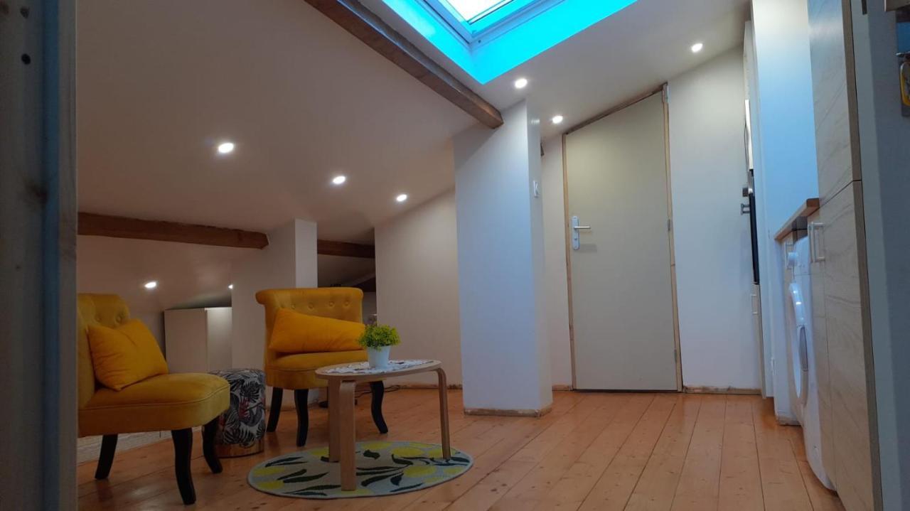 Appartement La Joie Dans Quartier Chic Pibrac 外观 照片