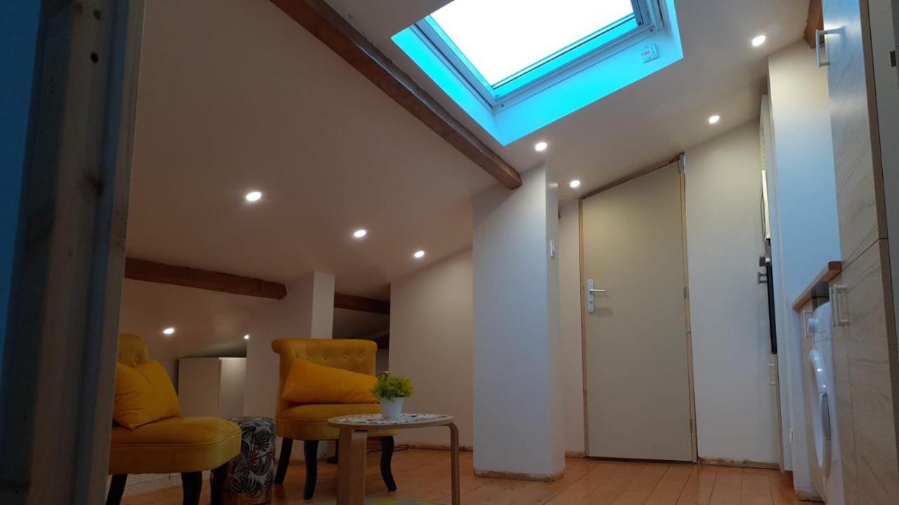 Appartement La Joie Dans Quartier Chic Pibrac 外观 照片