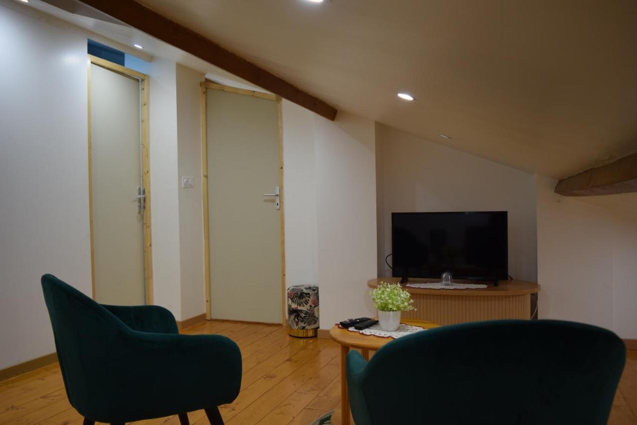 Appartement La Joie Dans Quartier Chic Pibrac 外观 照片